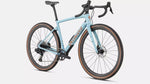 Specialized Diverge Expert Carbon