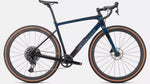 Specialized Diverge Expert Carbon