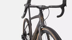 Specialized Diverge Expert Carbon